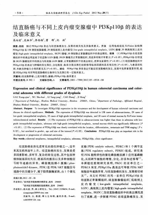 结直肠癌与不同上皮内瘤变腺瘤中PI3Kp110β的表达及临床意义