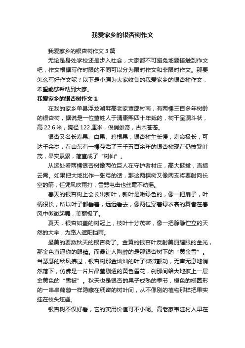 我爱家乡的银杏树作文3篇