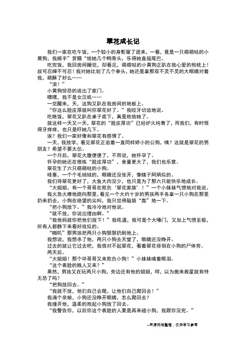 翠花成长记_叙事作文