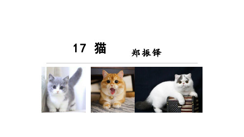 人教新教材七年级语文上册 第5单元《猫》课件