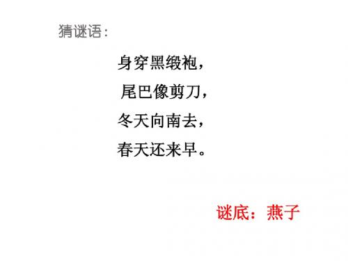 2、快乐的小燕子