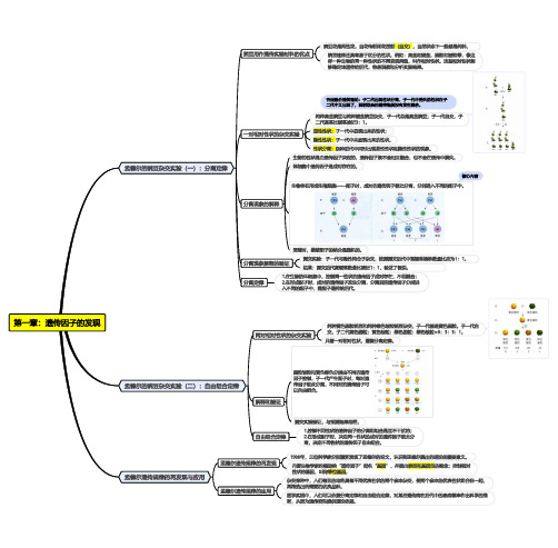 新课标人教版高中生物必修二第一章《遗传因子的发现》思维导图