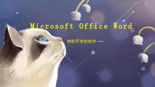 Microsoft Office Word