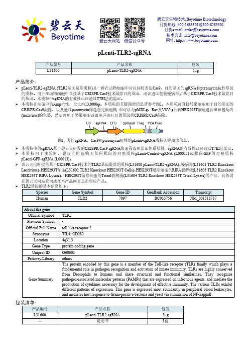 碧云天 L31600 pLenti-TLR2-sgRNA 产品说明书