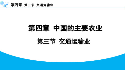 4.3 交通运输业【习题课件】八年级地理上册湘教版