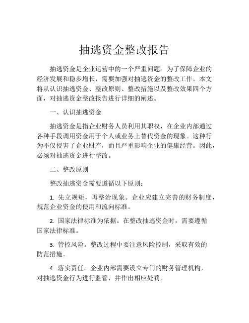 抽逃资金整改报告