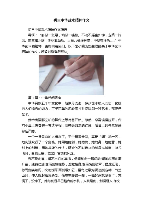 初三中华武术精神作文