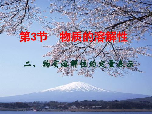 沪教版化学九年级下册 6.3 物质的溶解性 课件 (共22张PPT)