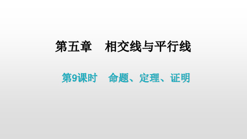 初中数学人教版七年级下册第五章命题、定理、证明课件