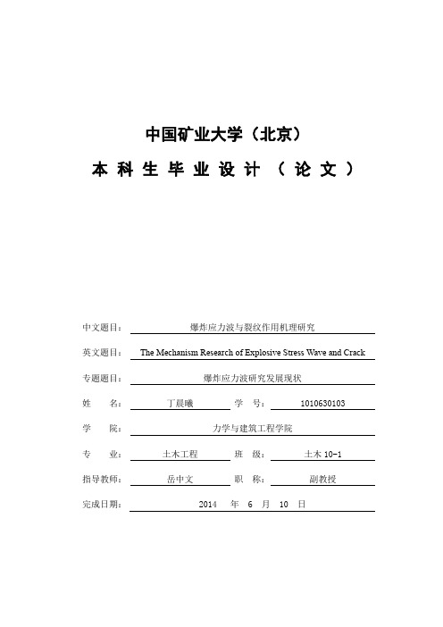 爆炸应力波与裂纹作用机理研究