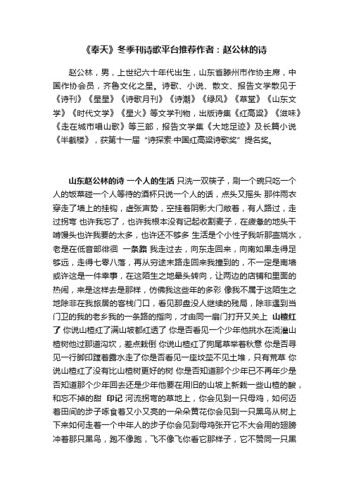 《奉天》冬季刊诗歌平台推荐作者：赵公林的诗