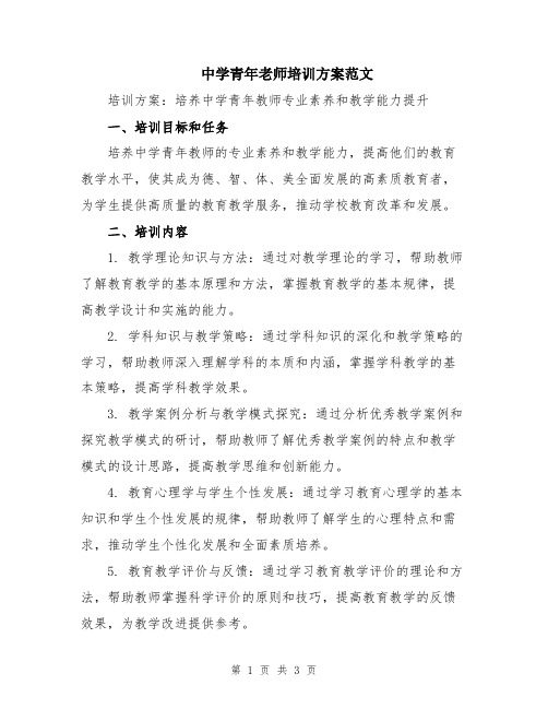 中学青年老师培训方案范文