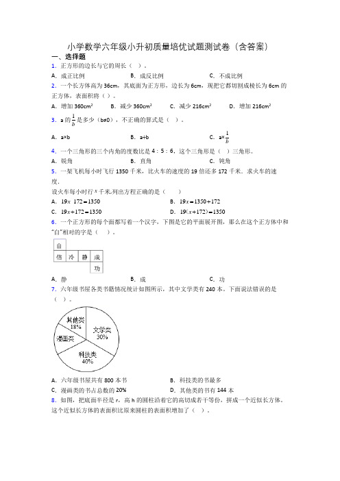 小学数学六年级小升初质量培优试题测试卷(含答案)