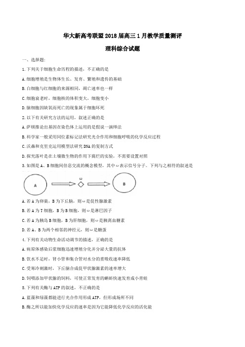 湖北省华大新高考联盟2018届高三1月教学质量测评理科综合试题及答案