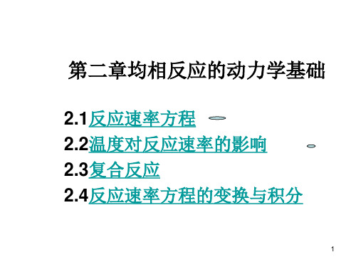 第二章 均相反应动力学基础