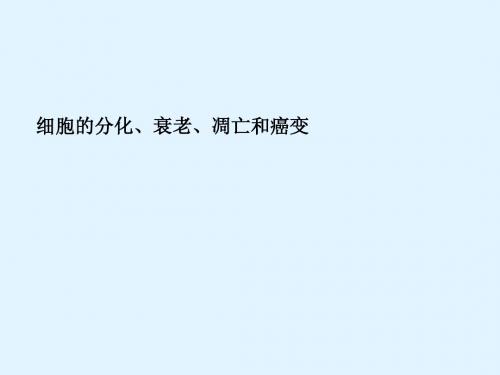 最新2015届高考生物一轮详细复习 细胞的分化、衰老、凋亡和癌变(考点透析+典例跟踪详解)课件 新人教版