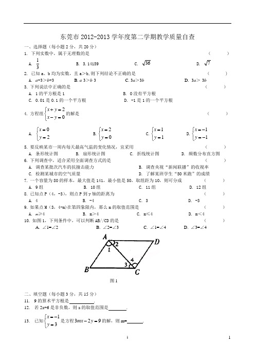 东莞市2012-2013学年度第二学期教学质量自查七年级数学