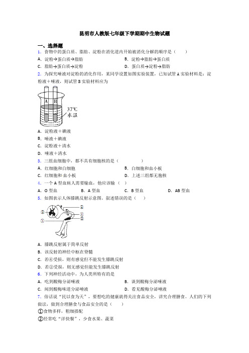 昆明市人教版七年级下学期期中生物试题