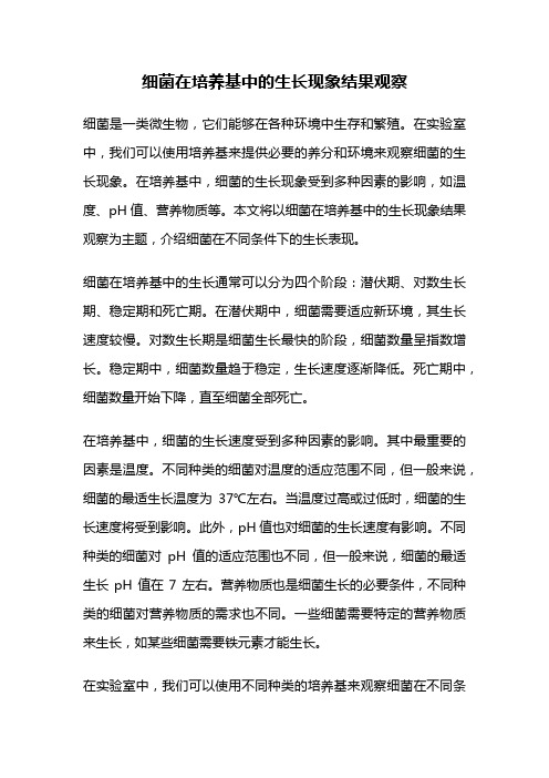 细菌在培养基中的生长现象结果观察