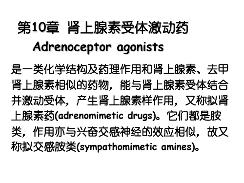 第10章-AdrR激动药