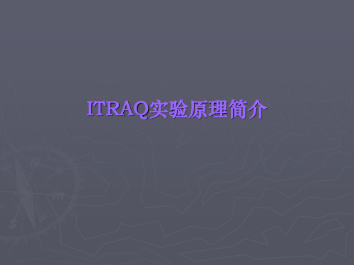 ITRAQ实验原理