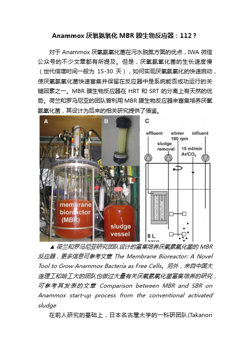 Anammox厌氧氨氧化MBR膜生物反应器：112？