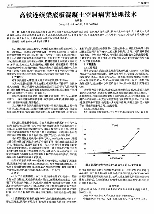 高铁连续梁底板混凝土空洞病害处理技术