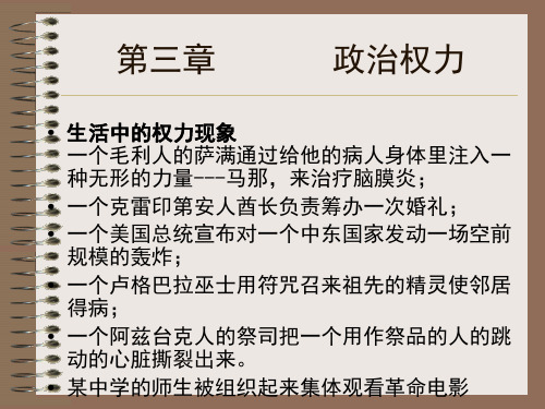 第二篇     政治权力与合法性