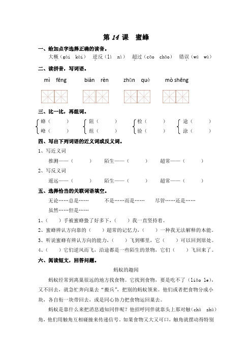 部编版三年级语文下册课后同步练习——14、蜜蜂