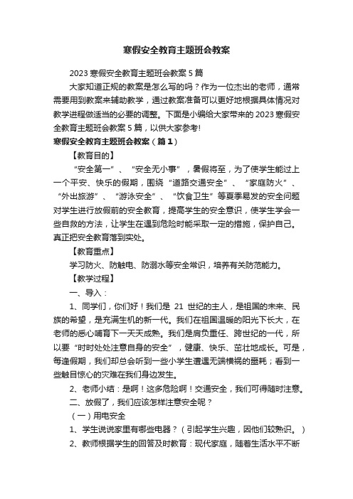 寒假安全教育主题班会教案