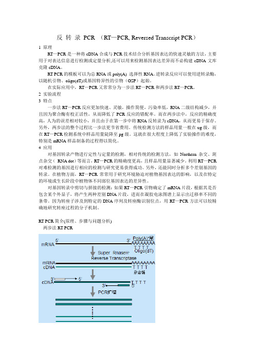 反转录PCR