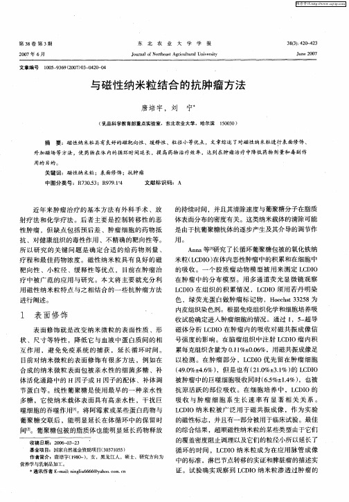 与磁性纳米粒结合的抗肿瘤方法