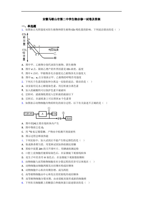 安徽马鞍山市第二中学生物必修一试卷及答案