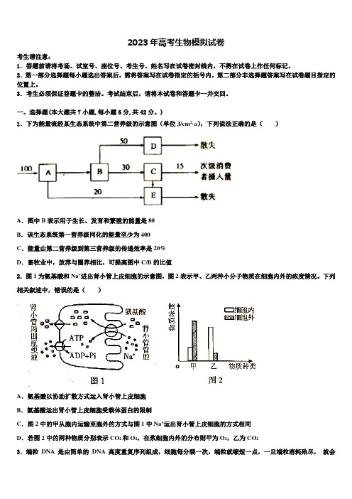 河北省沧州市沧县凤化店中学2023届高三第二次联考生物试卷含解析