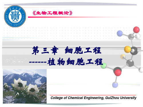 第3章细胞工程1植物细胞