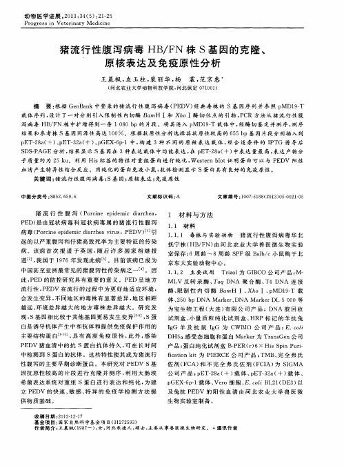 猪流行性腹泻病毒HB/FN株S基因的克隆、原核表达及免疫原性分析