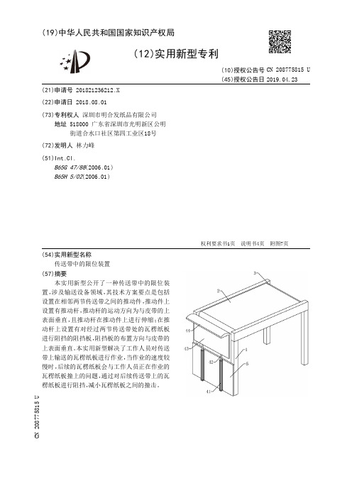 传送带中的限位装置[实用新型专利]