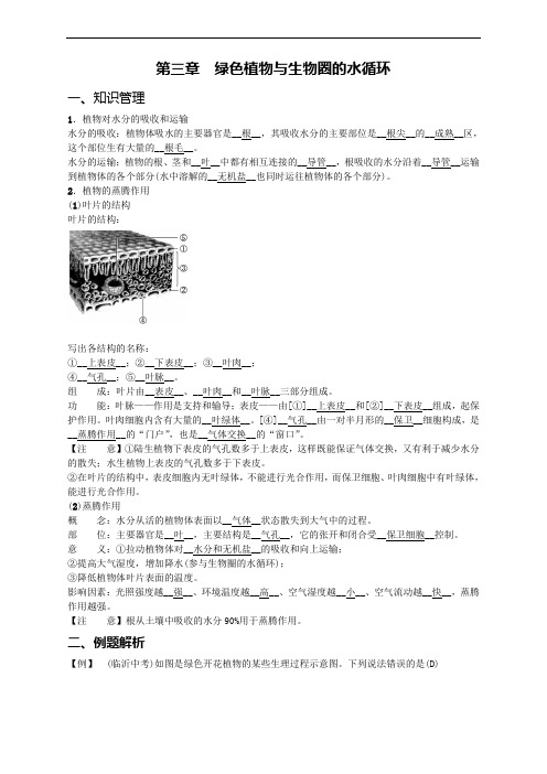 人教版七上生物《绿色植物与生物圈的水循环》知识点归纳及习题