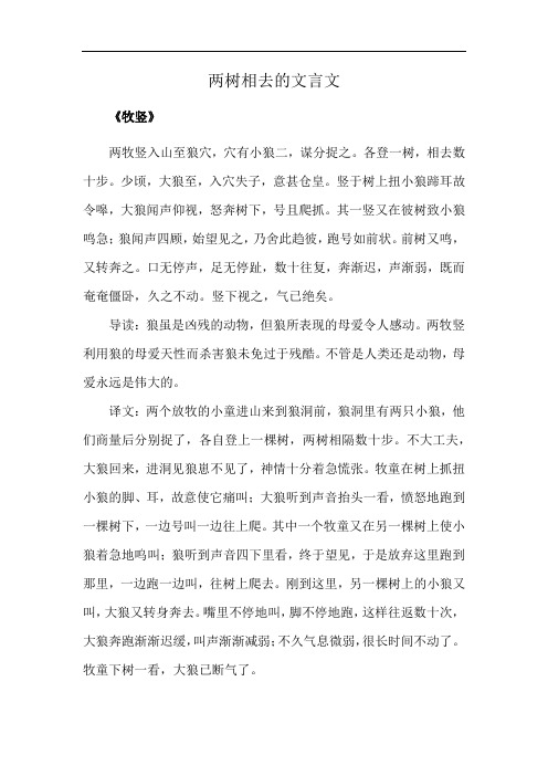 两树相去的文言文