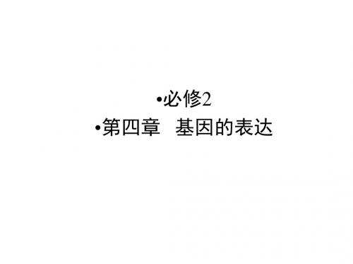 高考生物一轮复习 第4章 第1、2节 基因指导蛋白质的合成 基因对性状的控制课件 新人教版必修2