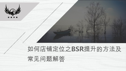 如何店铺定位之BSR提升的方法及常见问题解答