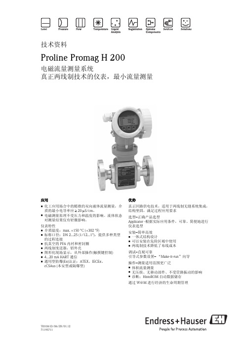 Proline Promag H 200电磁流量测量系统说明书