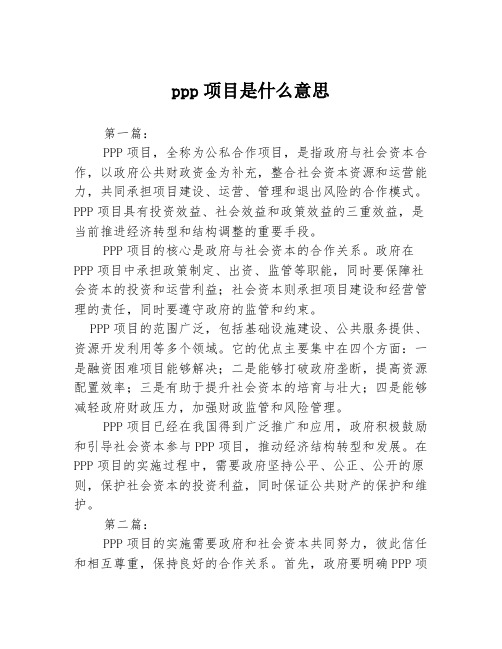 ppp项目是什么意思