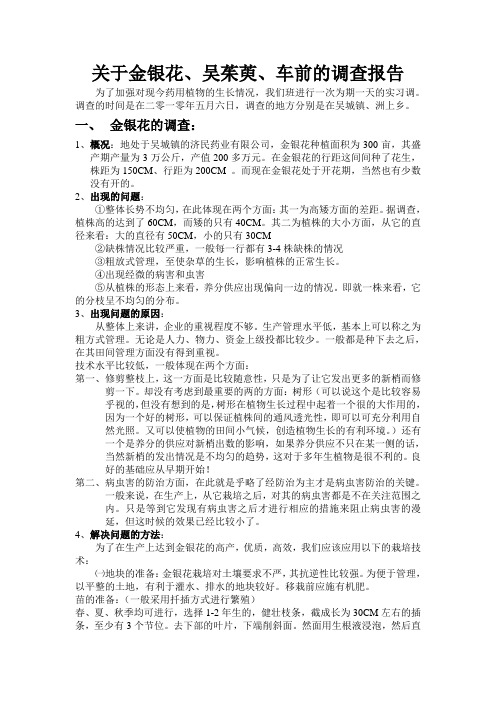 金银花
