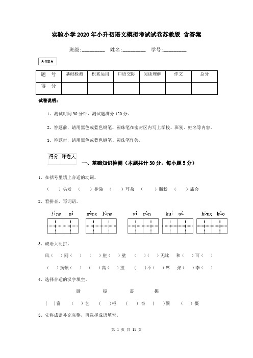 实验小学2020年小升初语文模拟考试试卷苏教版 含答案