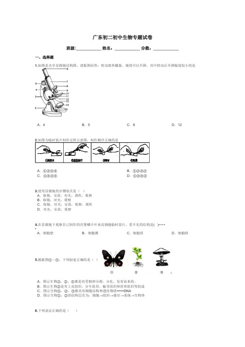 广东初二初中生物专题试卷带答案解析
