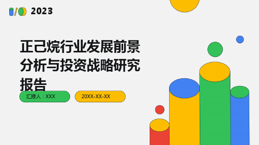 正己烷行业发展前景分析与投资战略研究报告