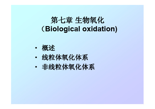 第七章 生物氧化(药大)