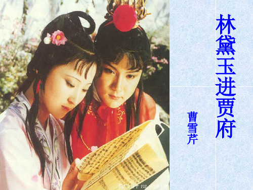 (人教版)《林黛玉进贾府》第二课时]