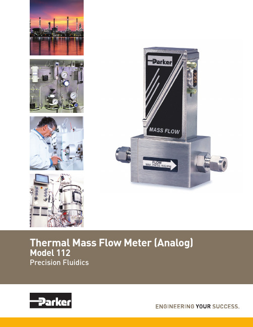 泰莱尔热量流量计模拟版112精密流动系2热量流量计说明书